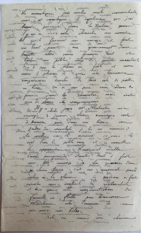 18830617 Albert à sa mère 06.jpg