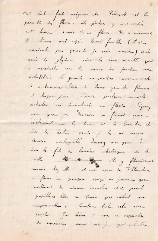 19031020 Albert à Madeleine - 03.jpg