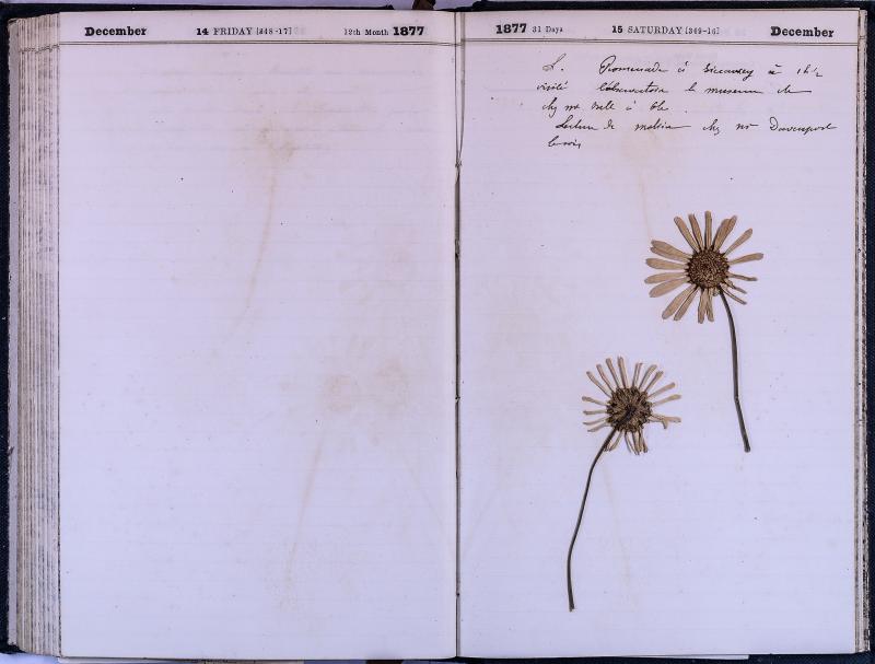 agenda Albert - décembre 1877 - 08.jpg