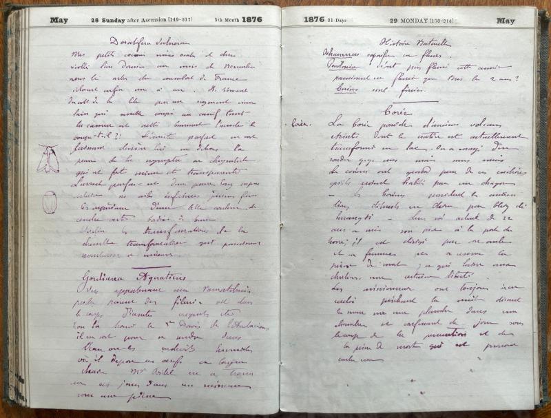 agenda Albert - mai 1876 - 17.jpg