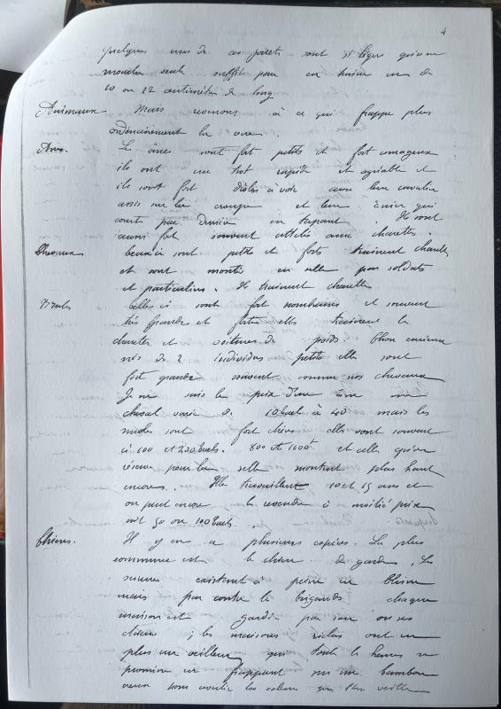 18730527 Albert à Emmanuel 08.jpg