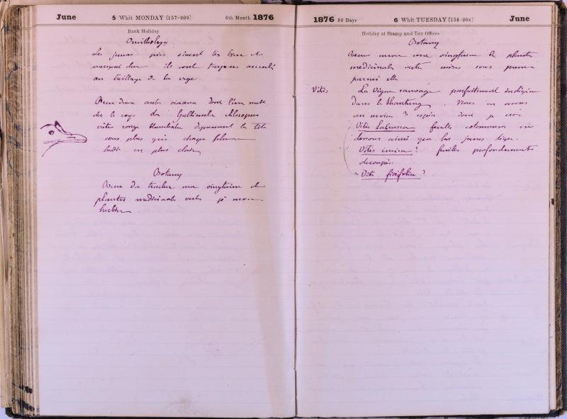 agenda Albert - juin 1876 - 03.jpg