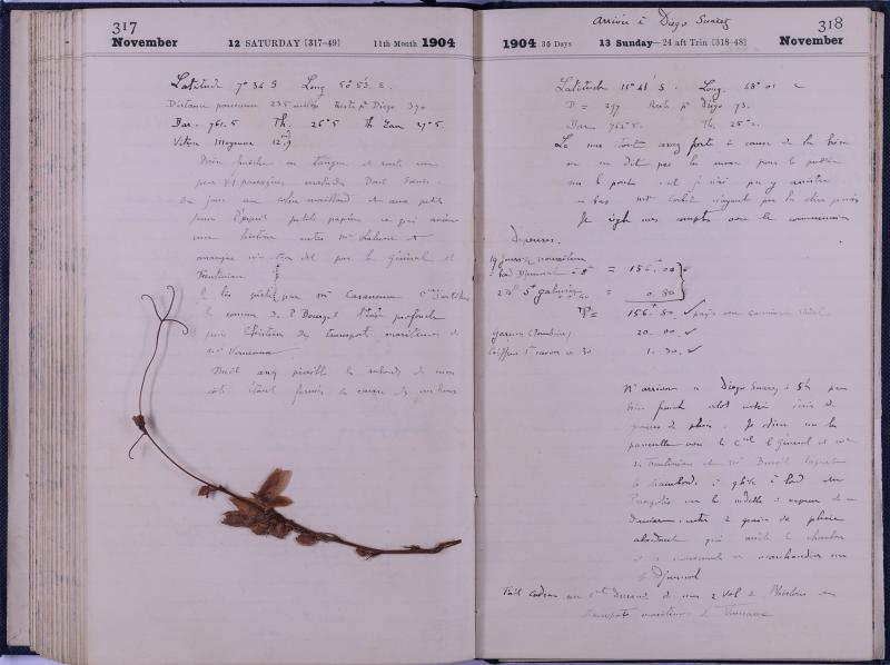 journal Albert novembre 1904-07.jpg