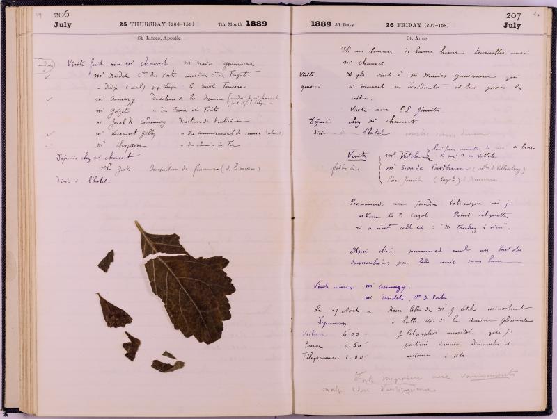 journal Albert juillet 1889 13.jpg journal Albert juillet 1889 13.jpg