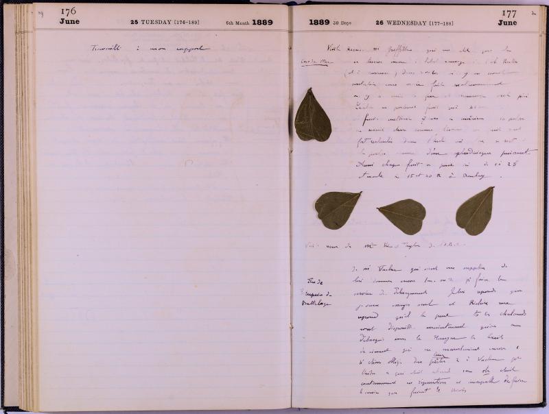 journal Albert juin 1889 13.jpg journal Albert juin 1889 13.jpg