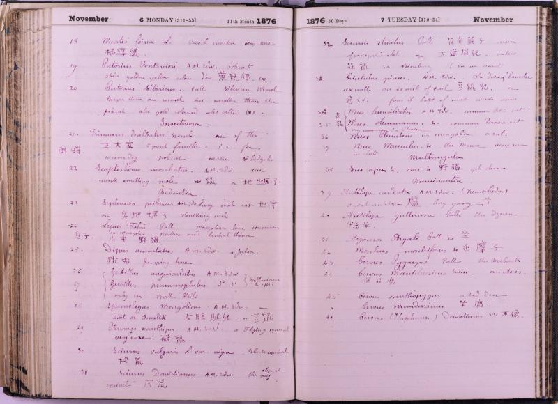 agenda Albert - novembre 1876 - 04.jpg