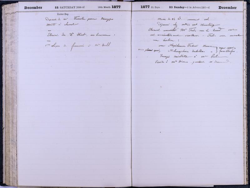 agenda Albert - décembre 1877 - 11.jpg