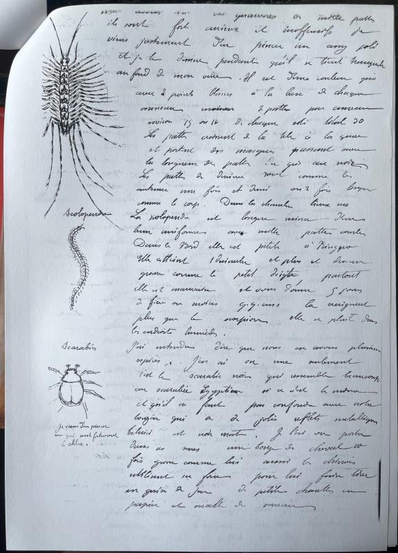 18730527 Albert à Emmanuel 07.jpg