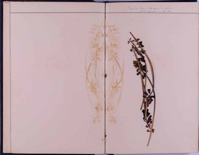 agenda Albert - 1899 - correspondances -09.jpg