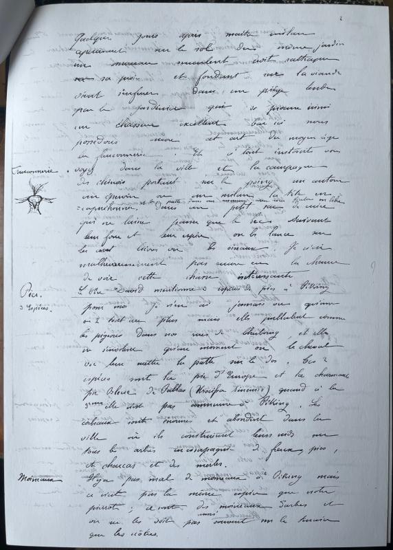 18730527 Albert à Emmanuel 04.jpg