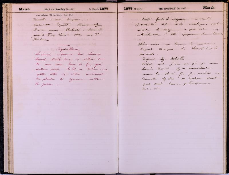 agenda Albert - mars 1877 - 15.jpg