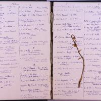 agenda Albert - 1885 - correspondances -03.jpg